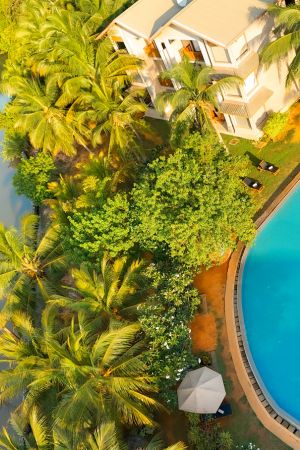 Amaranthe Bay Review 8