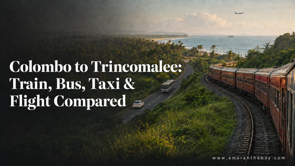 Colombo to Trincomalee Train Bus Taxi & Flight Compared