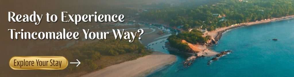 Uppuveli vs Nilaveli vs Trincomalee Town: Which Area Is Right for You? 1 Ready to Experience Trincomalee Your Way