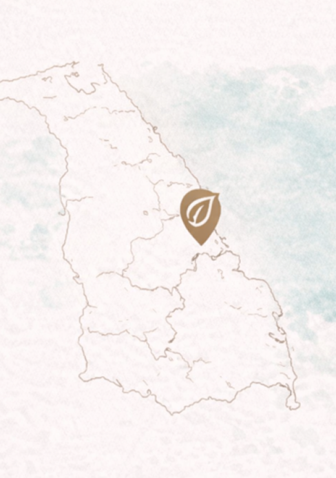 map 768x512 1